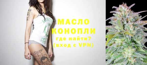 молекула духа Покров