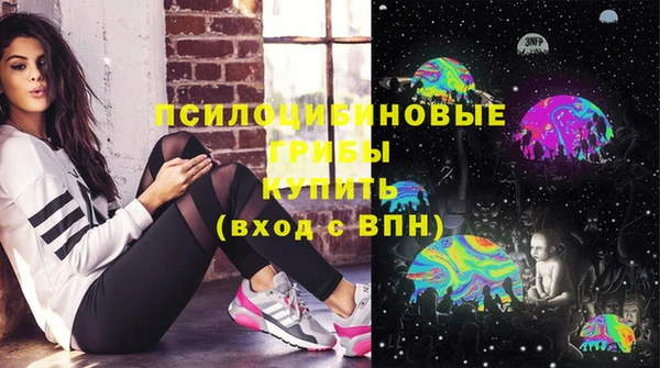 индика Армянск