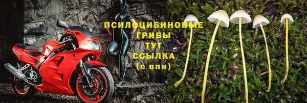 гидра Ростов