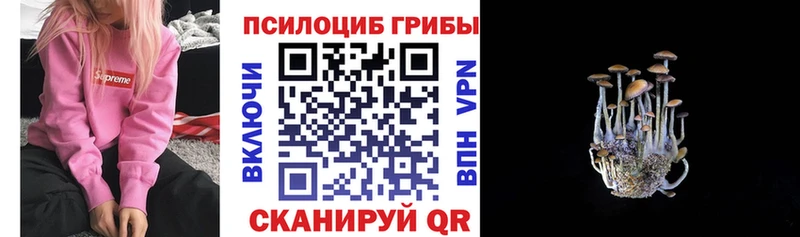MEGA рабочий сайт  Ревда  Псилоцибиновые грибы Psilocybe 